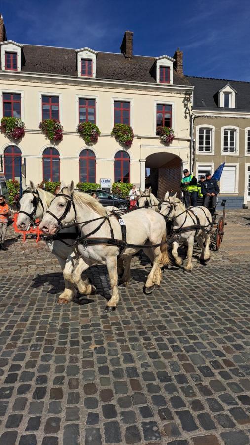 Gite La Grange 8Personnes Au Sein D'Un Elevage De Chevaux Brucquedal Екстер'єр фото